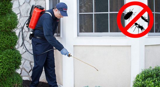 Horasan Fare İlaçlama böcek ilaçlama ve haşere kontrolü — ilaclama-tr.com